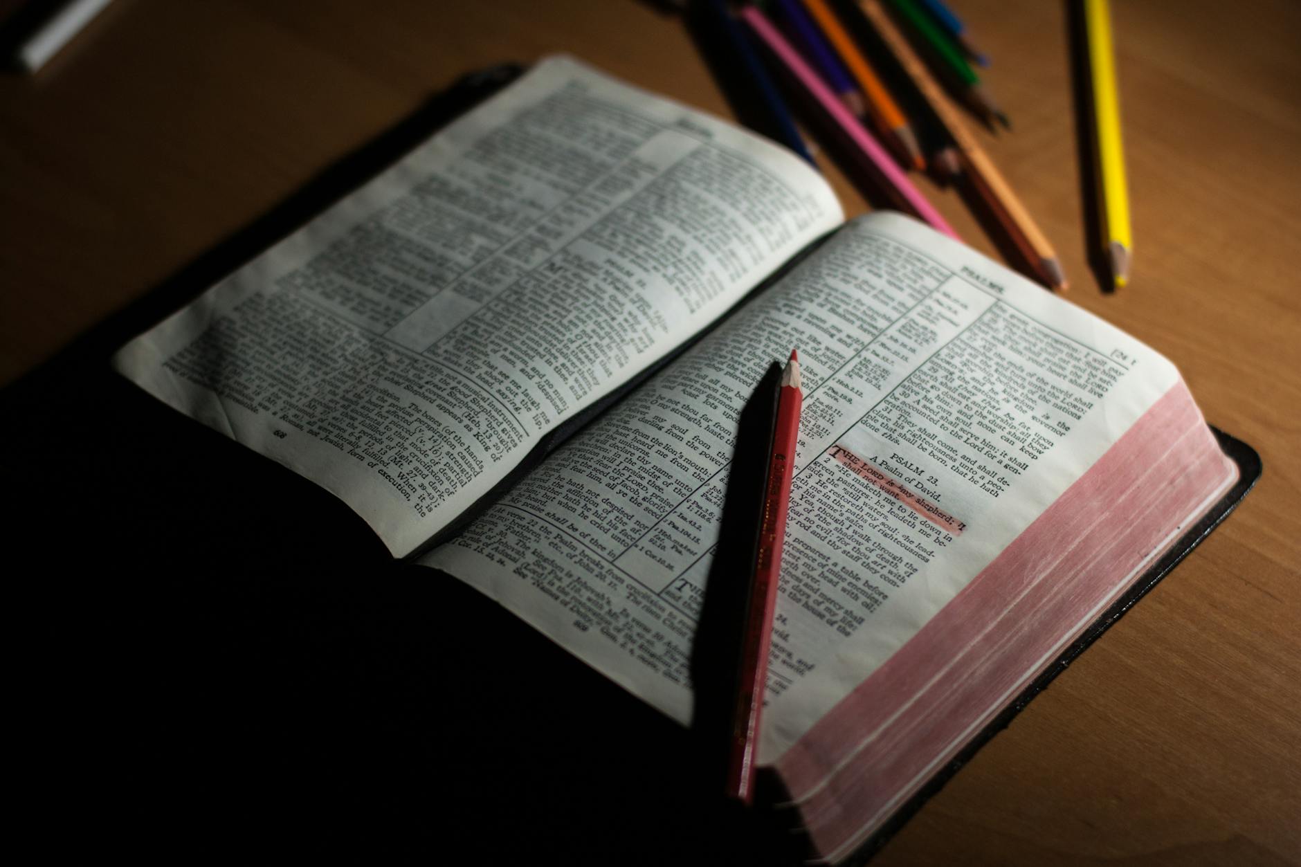 The Word filters